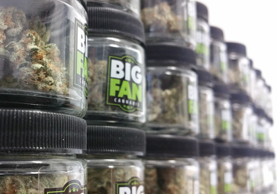 What to Look for in a Cannabis Label Printing Partner