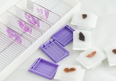 Histology Lab Supplies