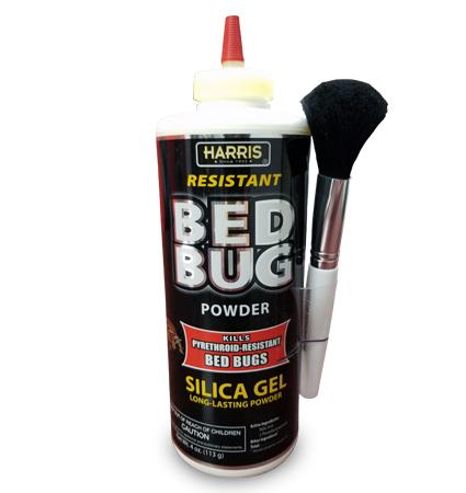 Application of shrink sleeve labels