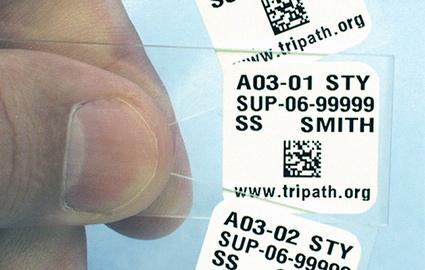 StainerShield XT Slide Labels