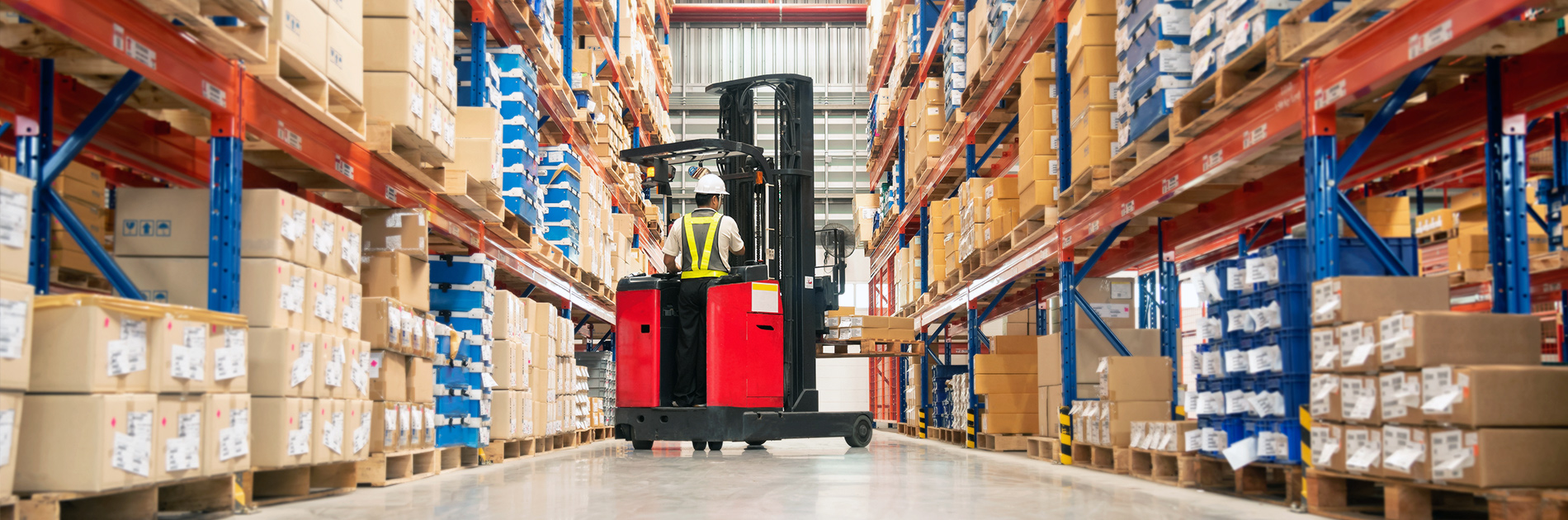 Warehouse Distribution Solutions